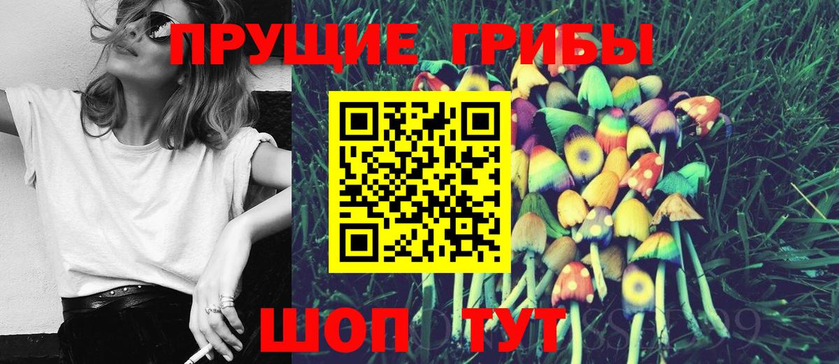 Псилоцибиновые грибы прущие грибы Тайшет